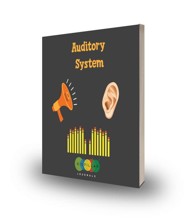 Auditory system