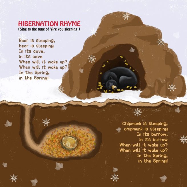 Hibernation - Image 2