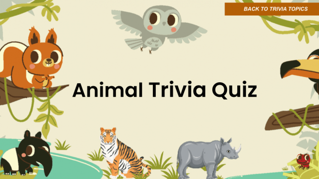 Trivia Quiz Game (with Answers) Google Slides - Image 3